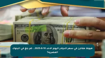 هبوط مفاجئ في سعر الدولار اليوم الأحد 10-8-2025.. كم بلغ في البنوك المصرية؟